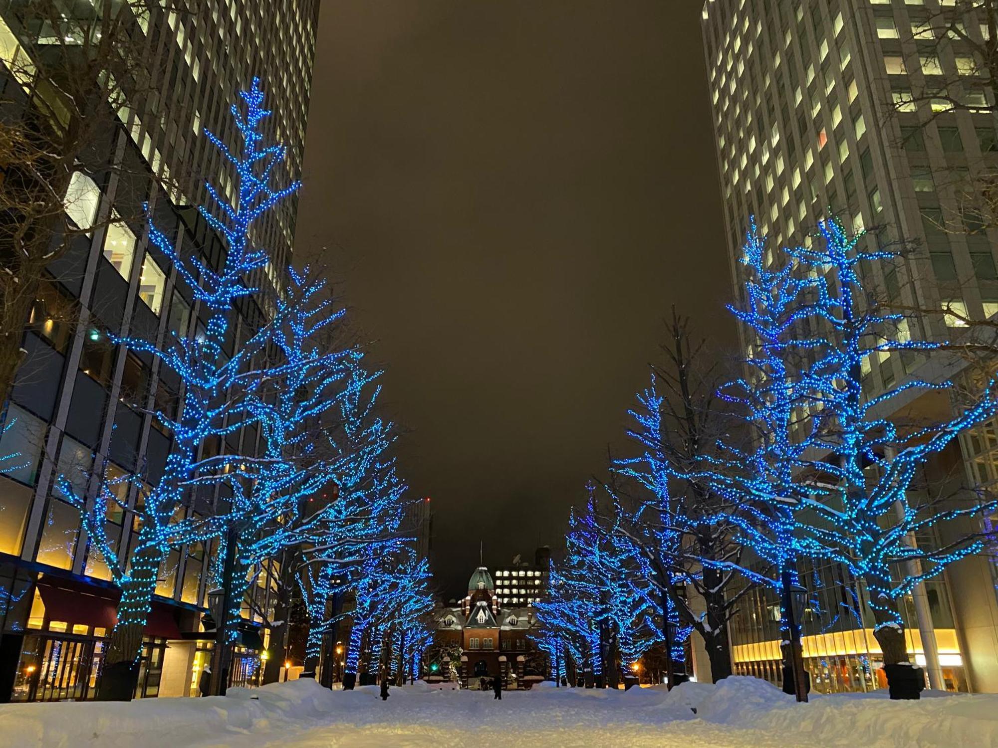 Mercure Hotel Sapporo Exterior foto